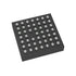 FM22LD16-55-BGTR